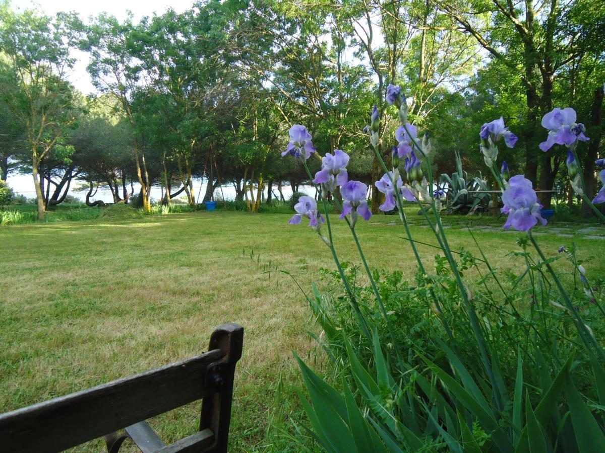 マルセイヤン Au Bord De Thau Bed & Breakfast エクステリア 写真
