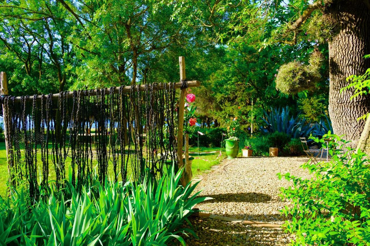 マルセイヤン Au Bord De Thau Bed & Breakfast エクステリア 写真